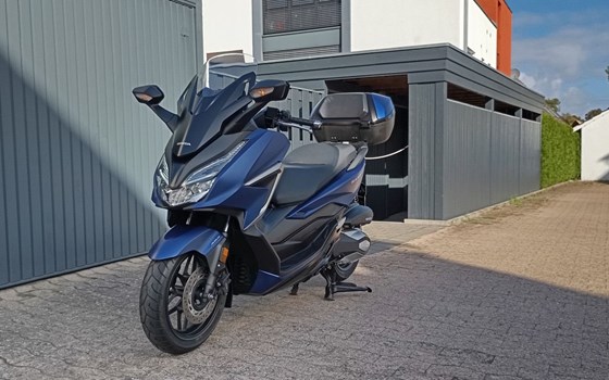 Gebrauchtmotorrad Honda Forza 350 - Bild 14