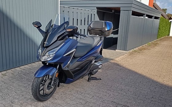 Gebrauchtmotorrad Honda Forza 350 - Bild 2