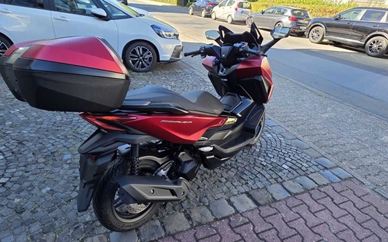 Gebrauchtmotorrad Honda Forza 125 - Bild 3