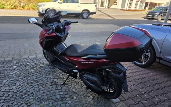 Gebrauchtmotorrad Honda Forza 125 - Bild 4