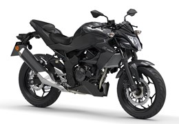 Neumotorrad Kawasaki Z125