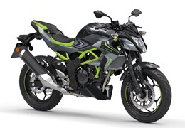 Neumotorrad Kawasaki Z125