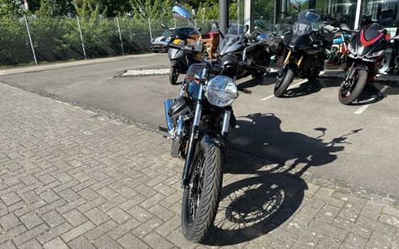 Neufahrzeug Moto Guzzi V7 Special - Bild 6