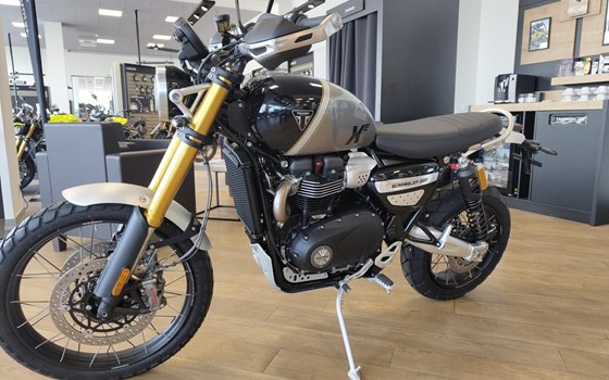 Gebrauchtmotorrad Triumph Scrambler 1200 XE - Bild 3