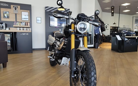 Gebrauchtmotorrad Triumph Scrambler 1200 XE - Bild 4