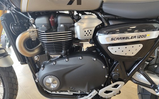 Gebrauchtmotorrad Triumph Scrambler 1200 XE - Bild 7