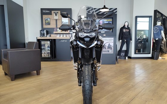 Gebrauchtmotorrad Triumph Tiger 900 Alpine Edition - Bild 4