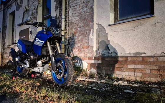 Gebrauchtmotorrad Yamaha Tenere 700 - Bild 8