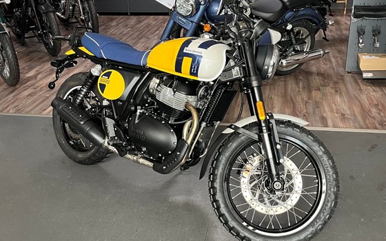 Neufahrzeug Royal Enfield Bear 650 - Bild 1