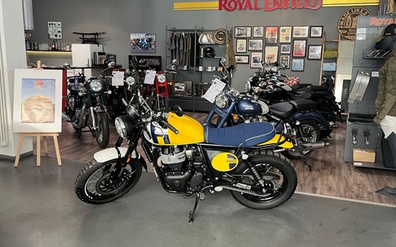 Neufahrzeug Royal Enfield Bear 650 - Bild 2