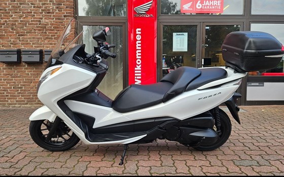 Gebrauchtmotorrad Honda Forza 300 - Bild 1