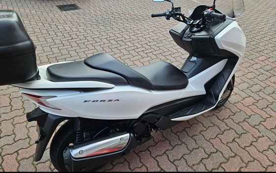 Gebrauchtmotorrad Honda Forza 300 - Bild 4
