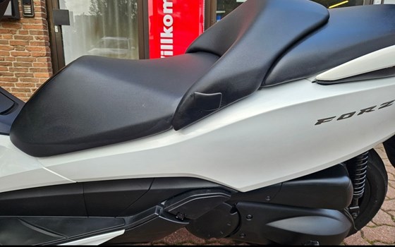 Gebrauchtmotorrad Honda Forza 300 - Bild 9