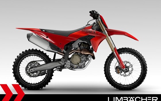 Neufahrzeug Ducati Desmo250 MX - Bild 2