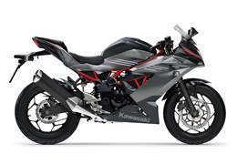 Neumotorrad Kawasaki Ninja 125