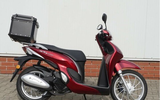 Gebrauchtmotorrad Honda SH125 - Bild 3