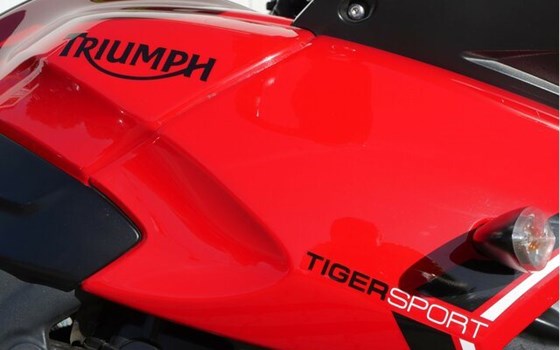 Gebrauchtmotorrad Triumph Tiger 1050 - Bild 6