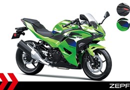 Neumotorrad Kawasaki Ninja 500 SE