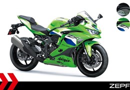 Neumotorrad Kawasaki Ninja ZX-4RR