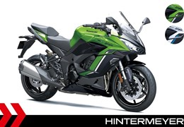 Neumotorrad Kawasaki Ninja 1100SX SE
