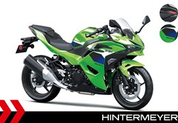 Neumotorrad Kawasaki Ninja 500 SE