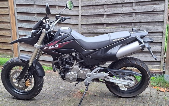 Gebrauchtmotorrad Honda FMX650 - Bild 2