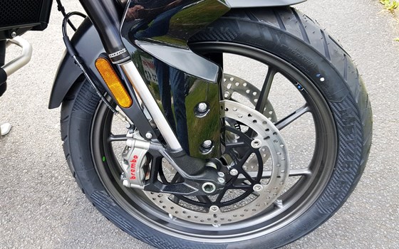 Gebrauchtmotorrad Triumph Tiger 900 Alpine Edition - Bild 8