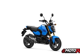 Gebrauchte Honda MSX125 Grom
