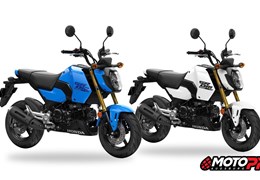 Gebrauchte Honda MSX125 Grom