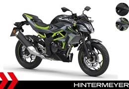 Neumotorrad Kawasaki Z125