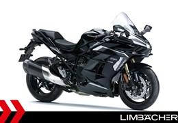 Neumotorrad Kawasaki Ninja H2 SX