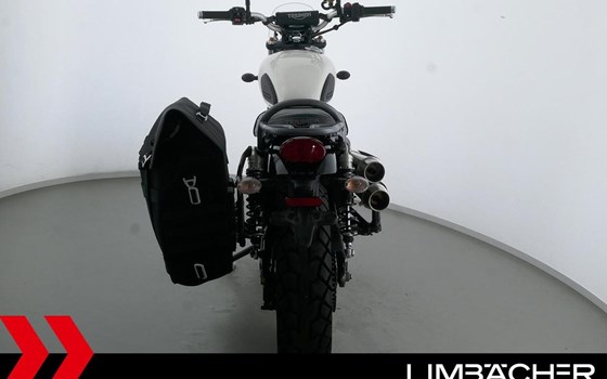 Gebrauchtmotorrad Triumph Street Scrambler - Bild 18