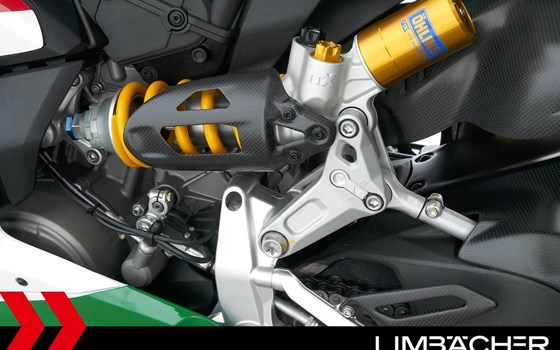 Gebrauchtmotorrad Ducati 1299 Panigale R Final Edition - Bild 20