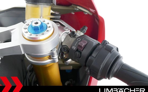 Gebrauchtmotorrad Ducati 1299 Panigale R Final Edition - Bild 22