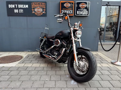 Foto des Bikes