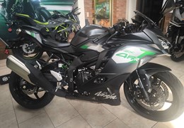 Neumotorrad Kawasaki Ninja ZX-4RR