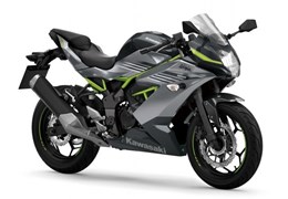 Neumotorrad Kawasaki Ninja 125