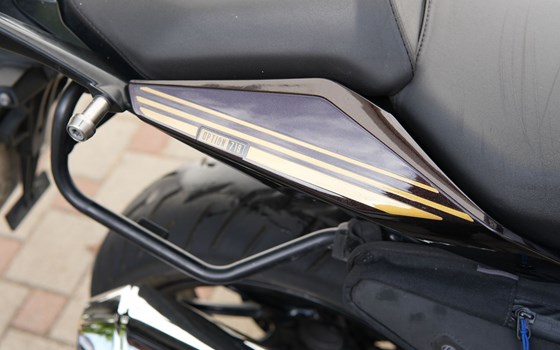 Gebrauchtmotorrad BMW R 1250 R - Bild 15