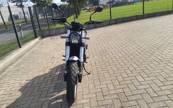 Gebrauchtmotorrad Benelli Leoncino 500 Trail - Bild 16