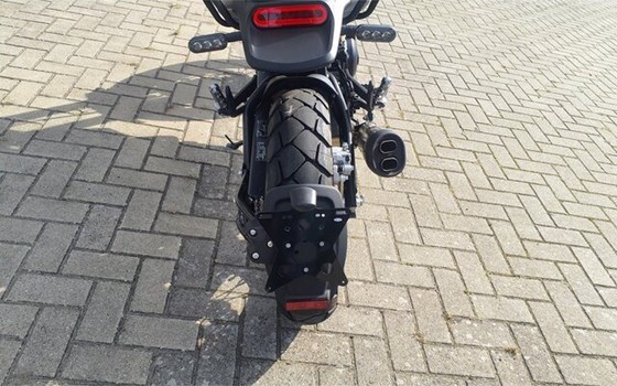 Gebrauchtmotorrad Benelli Leoncino 500 Trail - Bild 5