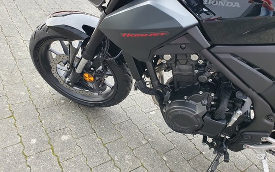 Gebrauchtmotorrad Honda CB500 Hornet E-Clutch - Bild 13