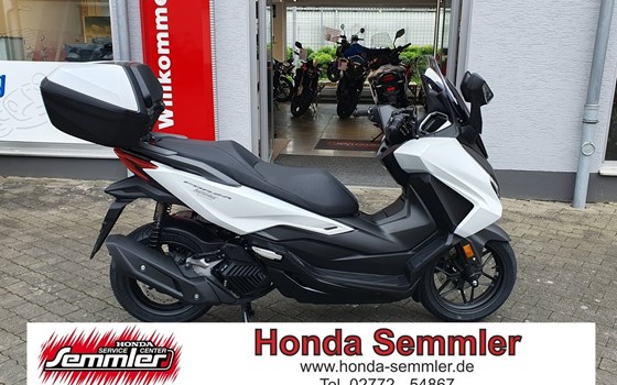 Gebrauchtmotorrad Honda Forza 125 - Bild 1