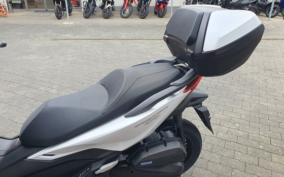 Gebrauchtmotorrad Honda Forza 125 - Bild 11