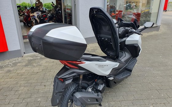 Gebrauchtmotorrad Honda Forza 125 - Bild 18