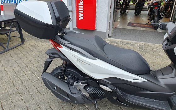 Gebrauchtmotorrad Honda Forza 125 - Bild 2