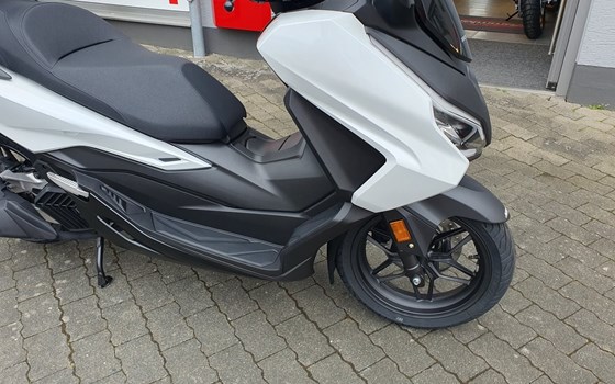 Gebrauchtmotorrad Honda Forza 125 - Bild 3