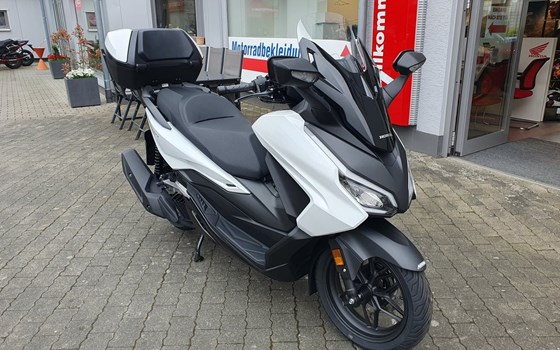 Gebrauchtmotorrad Honda Forza 125 - Bild 4