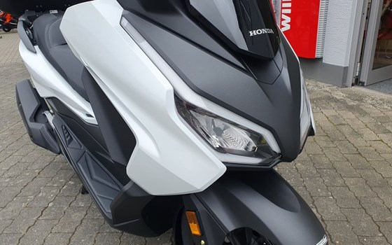 Gebrauchtmotorrad Honda Forza 125 - Bild 6