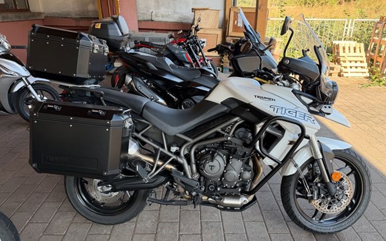 Gebrauchtmotorrad Triumph Tiger 800 XRT - Bild 1