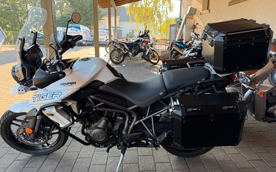 Gebrauchtmotorrad Triumph Tiger 800 XRT - Bild 3